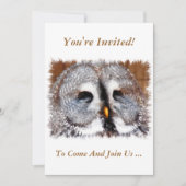 OWLS KAART (Voorkant)