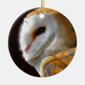 OWLS KERAMISCH ORNAMENT (Voorkant)