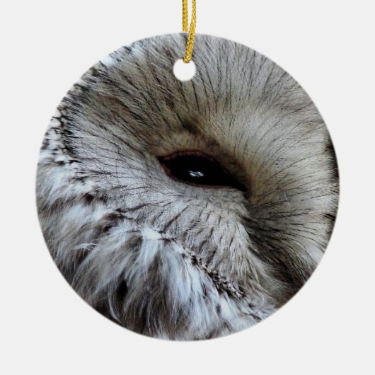 OWLS KERAMISCH ORNAMENT (Voorkant)