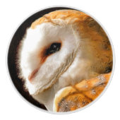 OWLS KERAMISCHE KNOP (Voorkant)