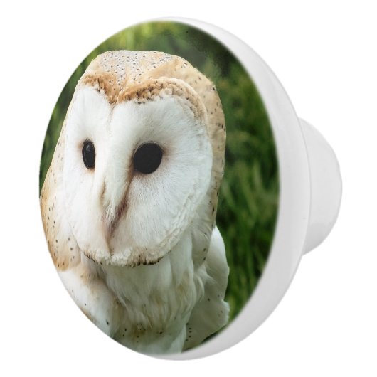 OWLS KERAMISCHE KNOP (Rechts)