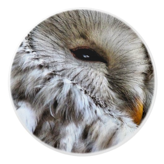 OWLS KERAMISCHE KNOP (Voorkant)