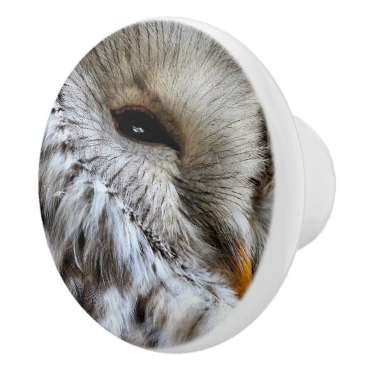 OWLS KERAMISCHE KNOP (Rechts)