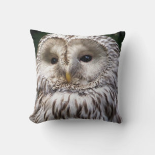 OWLS KUSSEN