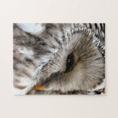 OWLS LEGPUZZEL (Horizontaal)