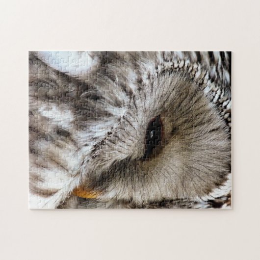 OWLS LEGPUZZEL (Horizontaal)