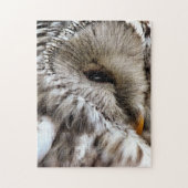 OWLS LEGPUZZEL (Verticaal)