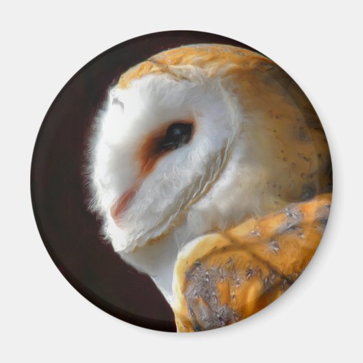 OWLS MAGNEET (Voorkant)