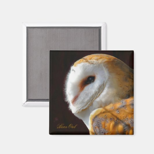 OWLS MAGNEET (Voorkant / Achterkant)