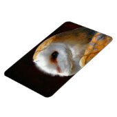 OWLS MAGNEET (Linkerzijde)