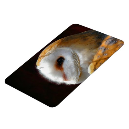 OWLS MAGNEET (Linkerzijde)