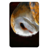 OWLS MAGNEET (Verticaal)