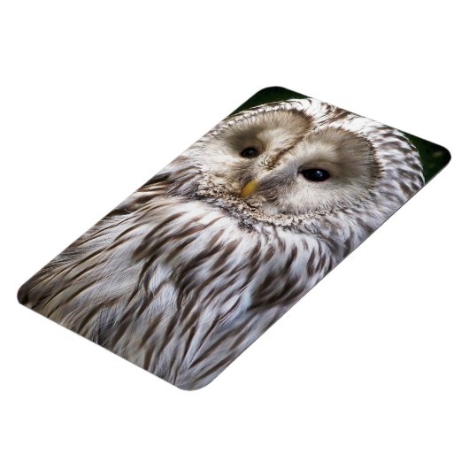 OWLS MAGNEET (Linkerzijde)