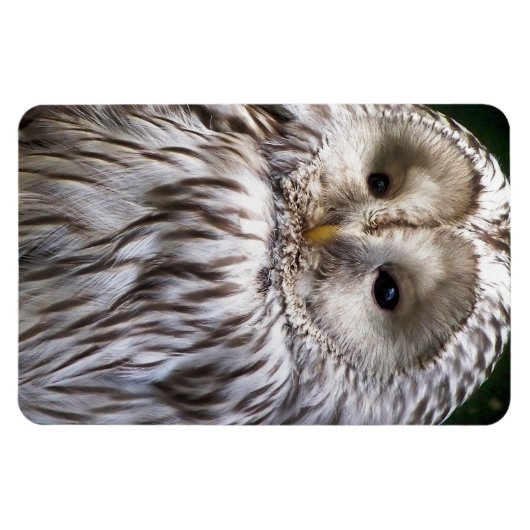 OWLS MAGNEET (Horizontaal)