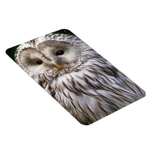 OWLS MAGNEET (Rechterzijde)