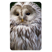 OWLS MAGNEET (Verticaal)