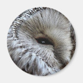 OWLS MAGNEET (Voorkant)