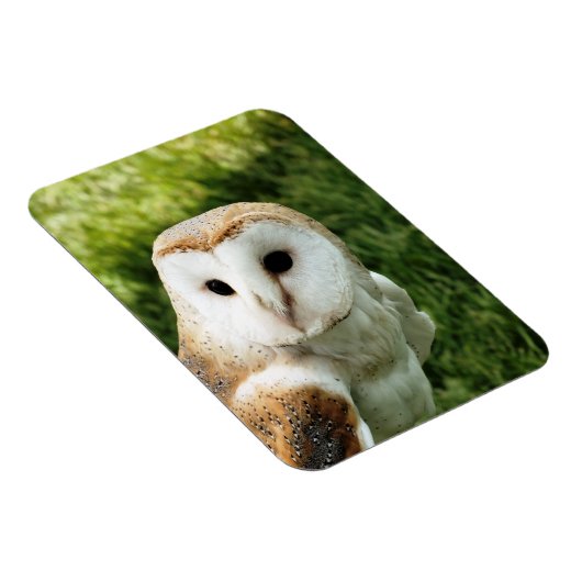 OWLS MAGNEET (Rechterzijde)