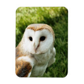 OWLS MAGNEET (Verticaal)