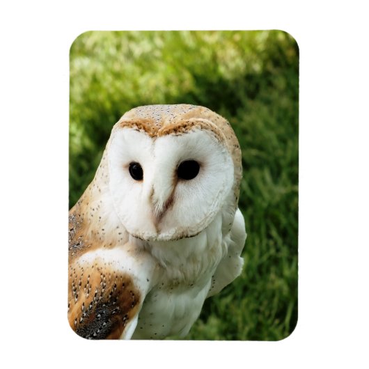 OWLS MAGNEET (Verticaal)