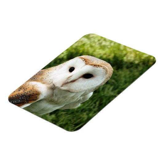 OWLS MAGNEET (Linkerzijde)