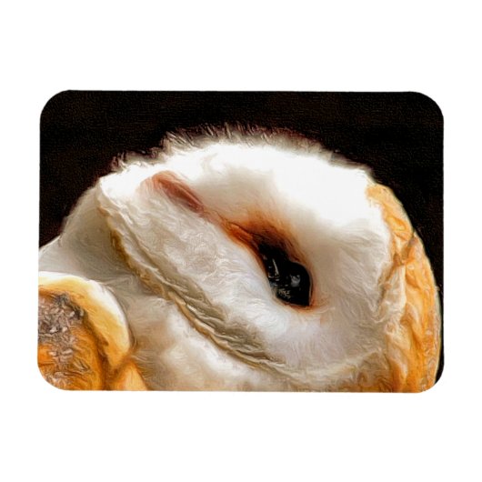 OWLS MAGNEET (Horizontaal)