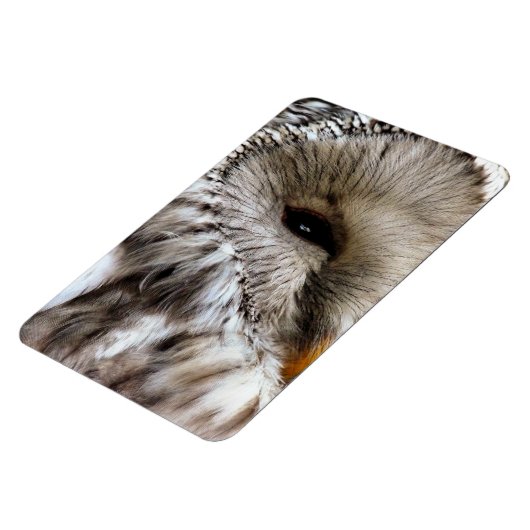 OWLS MAGNEET (Linkerzijde)