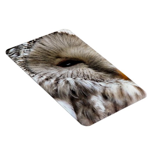 OWLS MAGNEET (Rechterzijde)