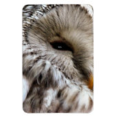 OWLS MAGNEET (Verticaal)