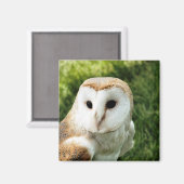 OWLS MAGNEET (Voorkant / Achterkant)