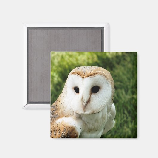 OWLS MAGNEET (Voorkant / Achterkant)