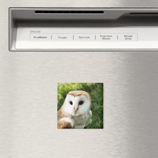 OWLS MAGNEET (Insitu (Vaatwasser))