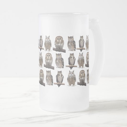 Owls Matglas Bierpul (Voorkant rechts)