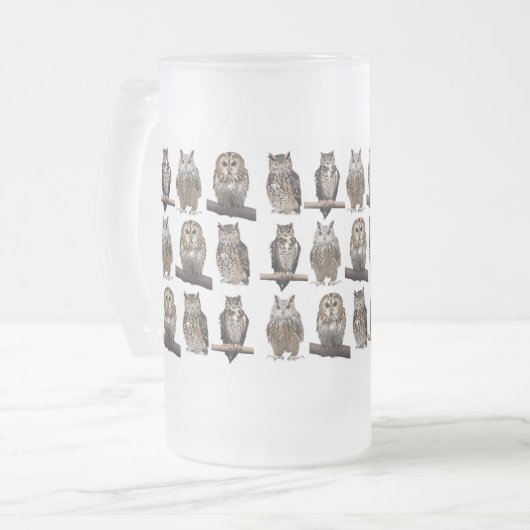 Owls Matglas Bierpul (Voorkant links)