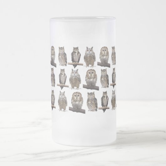 Owls Matglas Bierpul (Center)