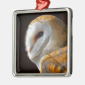 OWLS METALEN ORNAMENT (Links)