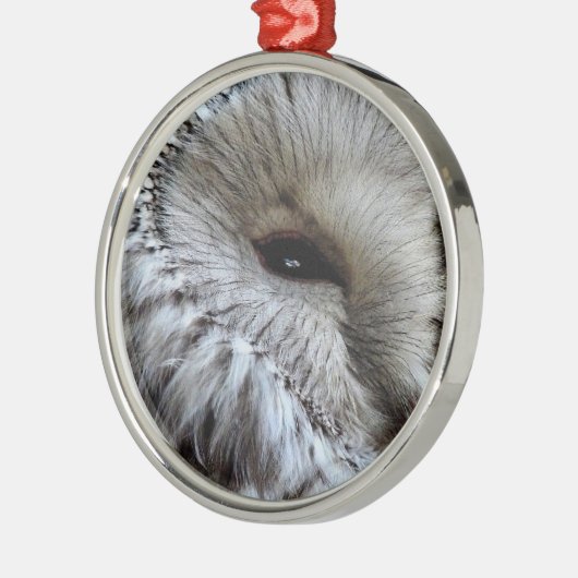 OWLS METALEN ORNAMENT (Links)