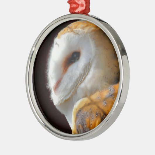 OWLS METALEN ORNAMENT (Links)