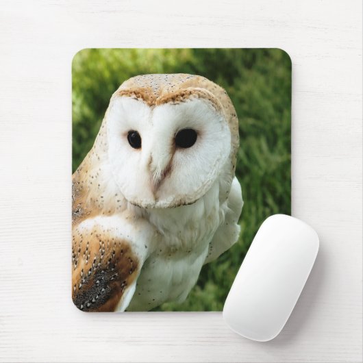 OWLS MUISMAT (Met muis)