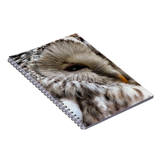 OWLS NOTITIEBOEK (Rechterzijde)