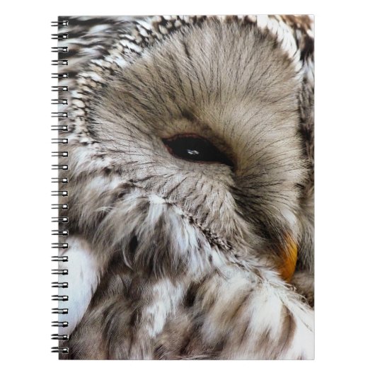 OWLS NOTITIEBOEK (Voorkant)