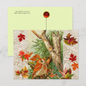 OWLS ONDER DALLEN IN WOODLAND BRIEFKAART (Voorkant / Achterkant)