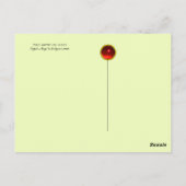 OWLS ONDER DALLEN IN WOODLAND BRIEFKAART (Achterkant)