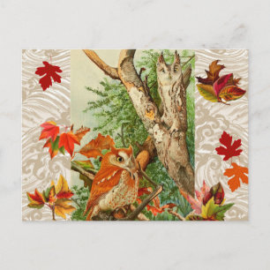 OWLS ONDER DALLEN IN WOODLAND BRIEFKAART