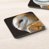 OWLS ONDERZETTER (Linkerzijde)