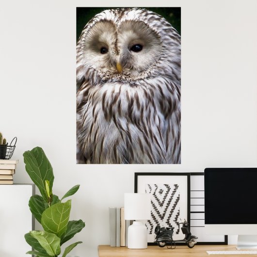 OWLS POSTER (Thuiskantoor)