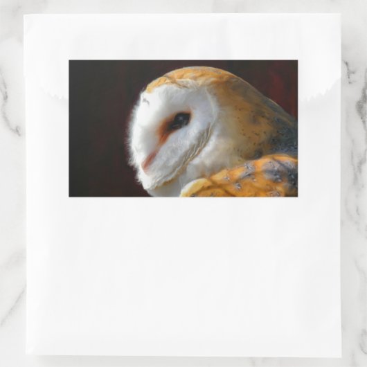 OWLS RECHTHOEKIGE STICKER (Tas)