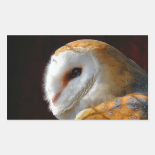 OWLS RECHTHOEKIGE STICKER (Voorkant)