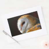 OWLS RECHTHOEKIGE STICKER (Envelop)