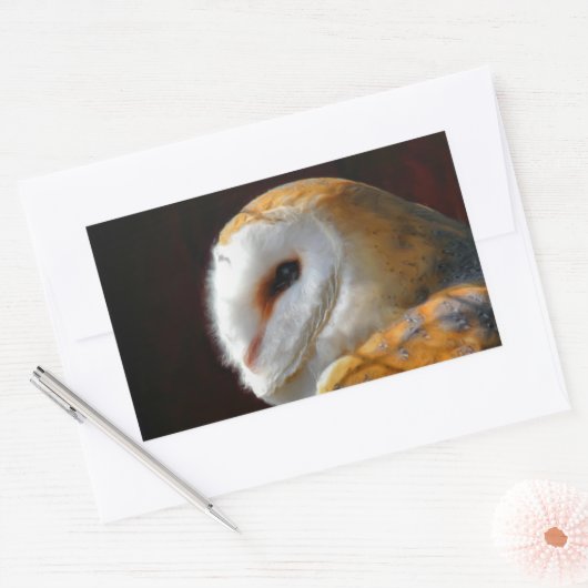 OWLS RECHTHOEKIGE STICKER (Envelop)